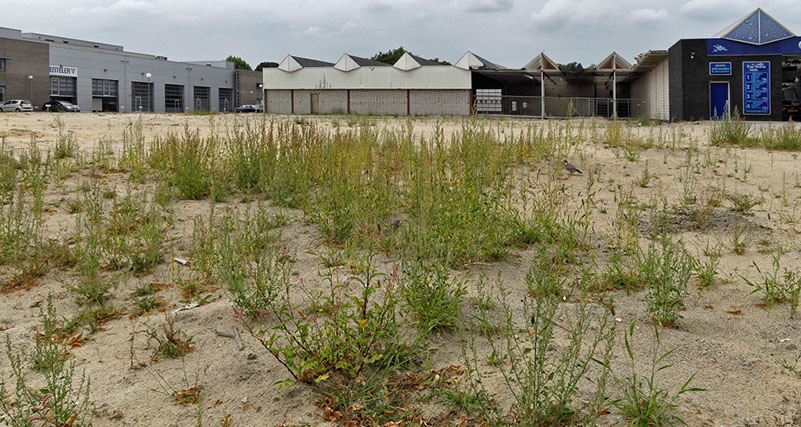 %_tempFileNameSAM_2558_DxO%